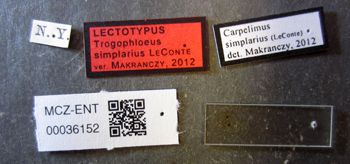 Media type: image;   Entomology 36152 Aspect: labels